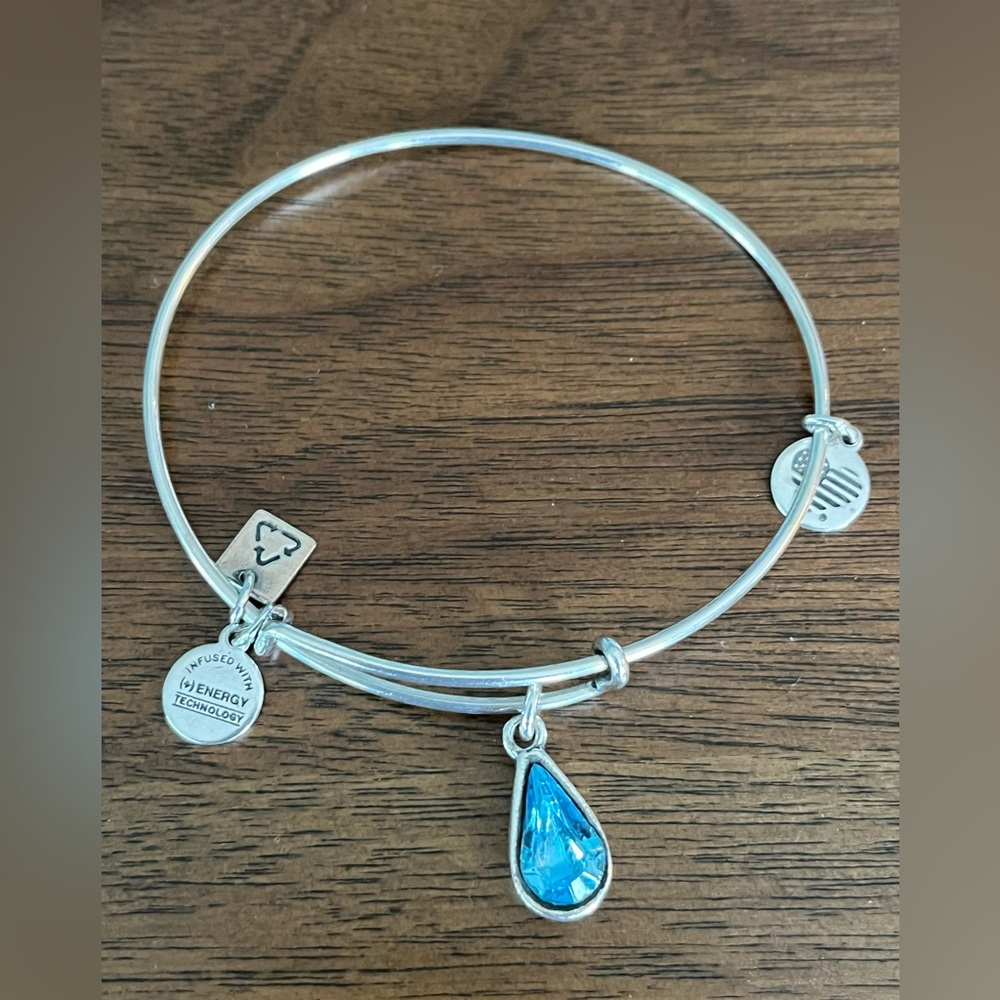 Alex and Ani Charm Bangle